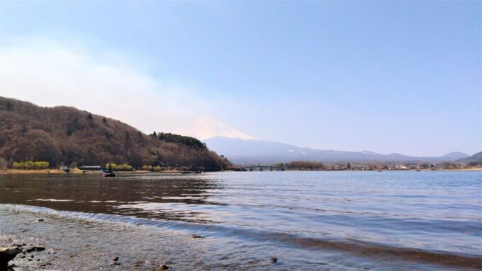 富士河口湖さくら祭り